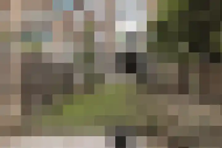 Voorschoterlaan 117 B Rotterdam thumbnail 41