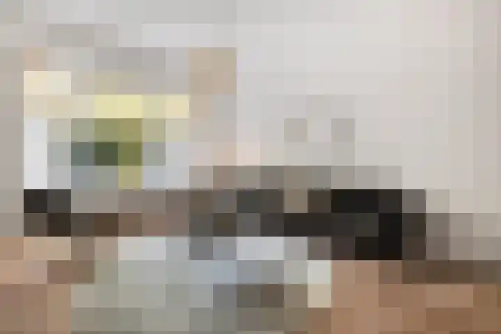 Voorschoterlaan 117 B Rotterdam thumbnail 5