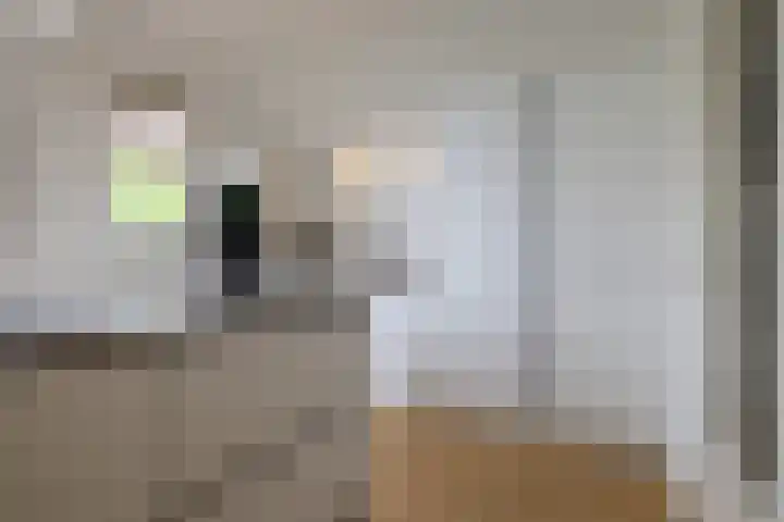 Voorschoterlaan 129 B Rotterdam thumbnail 13