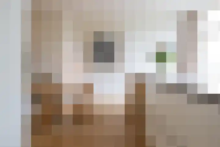 Voorschoterlaan 129 B Rotterdam thumbnail 16