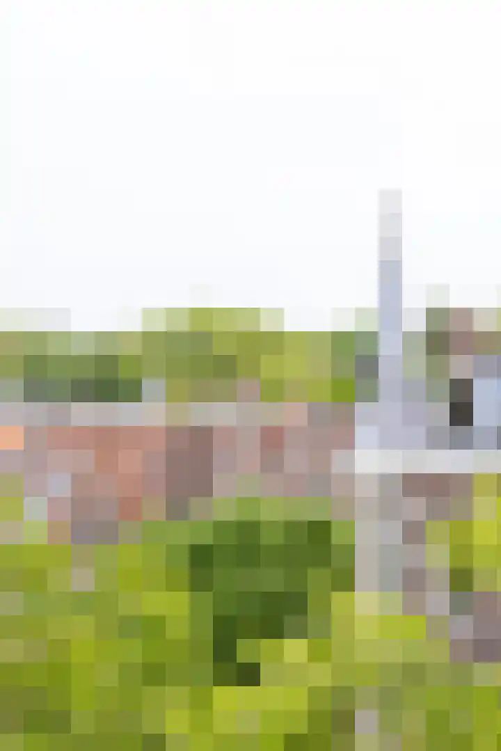 Voorschoterlaan 129 B Rotterdam thumbnail 23