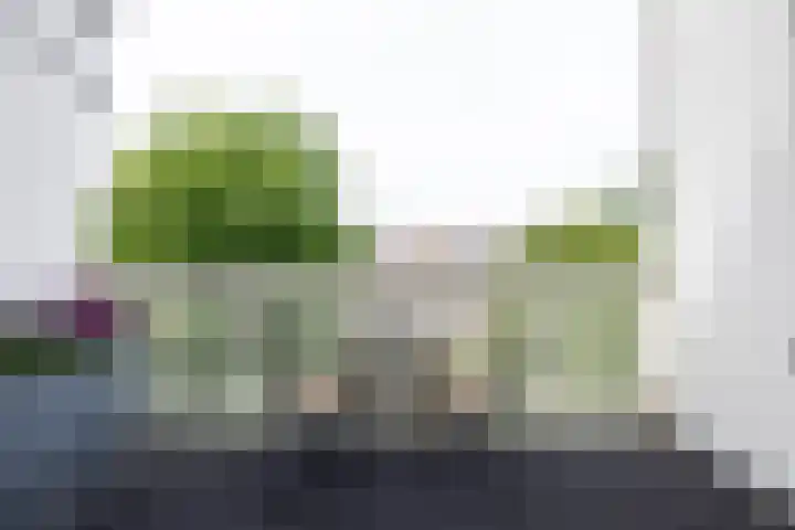 Voorschoterlaan 129 B Rotterdam thumbnail 24