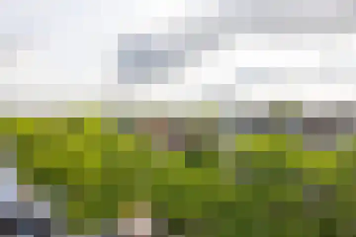 Voorschoterlaan 129 B Rotterdam thumbnail 39