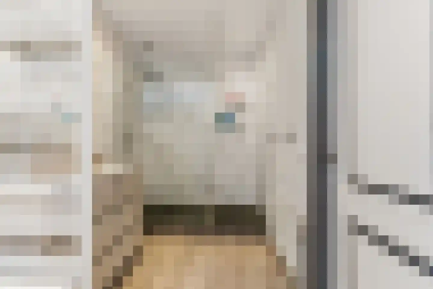 Voorschoterlaan 145 B Rotterdam thumbnail 28