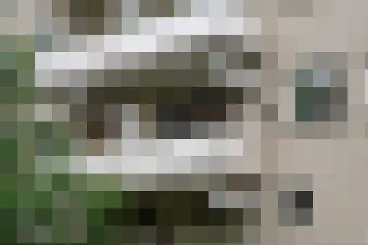 Voorschoterlaan 154 Rotterdam thumbnail 18