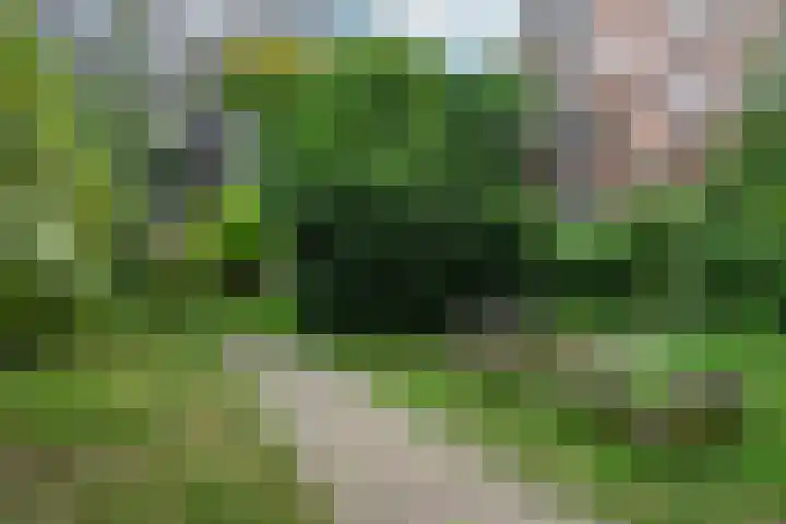 Voorschoterlaan 154 Rotterdam thumbnail 19