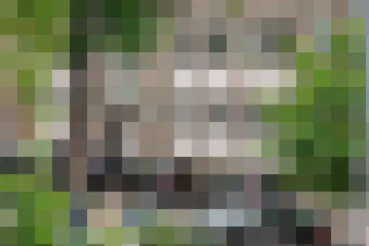 Voorschoterlaan 154 Rotterdam thumbnail 20