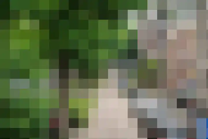 Voorschoterlaan 154 Rotterdam thumbnail 22