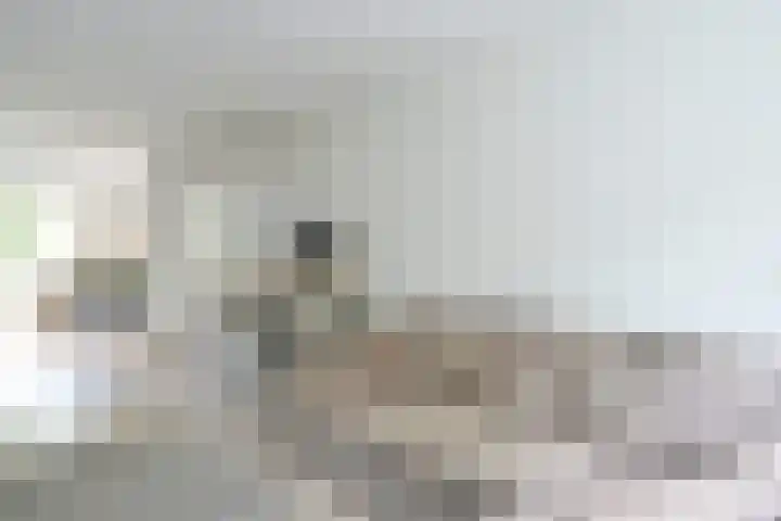 Voorschoterlaan 154 Rotterdam thumbnail 6