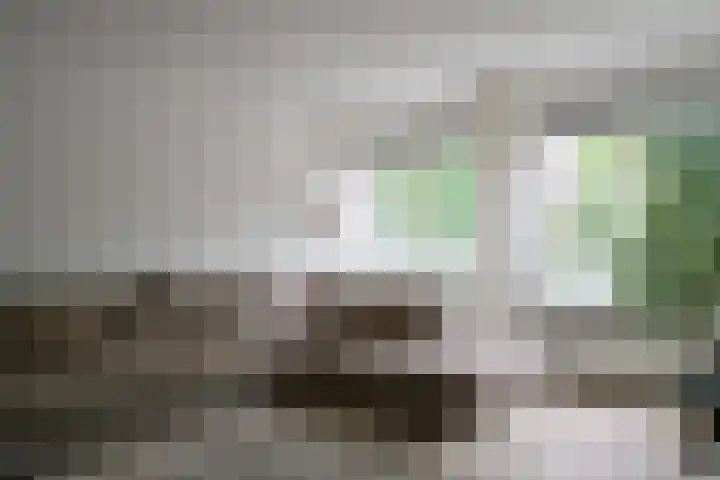 Voorschoterlaan 154 Rotterdam thumbnail 7