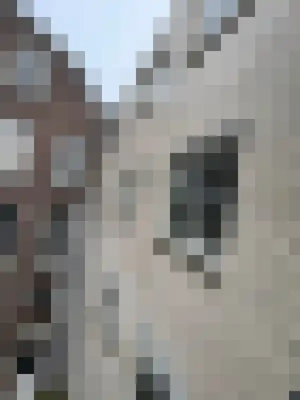 Voorschoterlaan 176 Rotterdam thumbnail 20