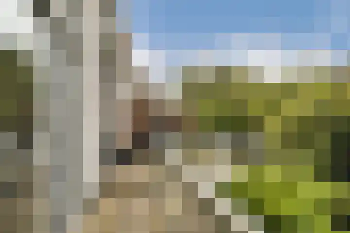 Voorschoterlaan 43 A Rotterdam thumbnail 19