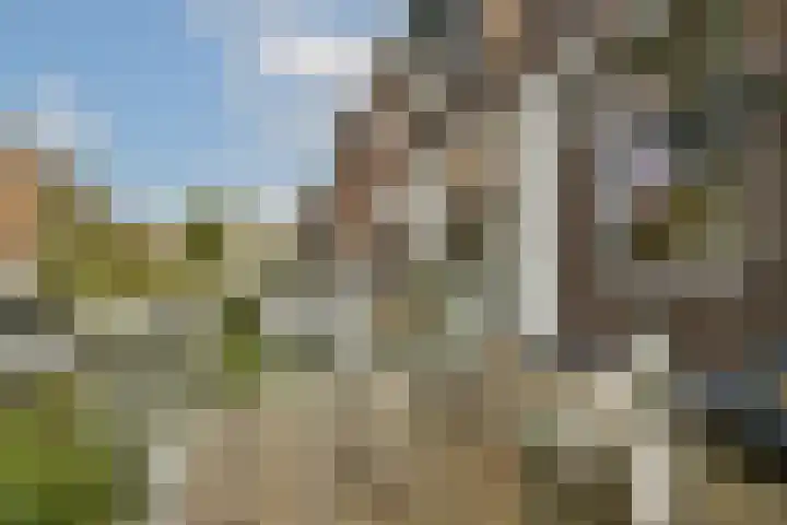 Voorschoterlaan 43 A Rotterdam thumbnail 21