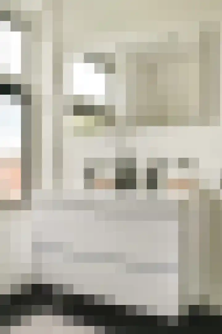 Voorschoterlaan 43 A Rotterdam thumbnail 34