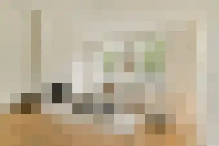 Voorschoterlaan 43 A Rotterdam thumbnail 7
