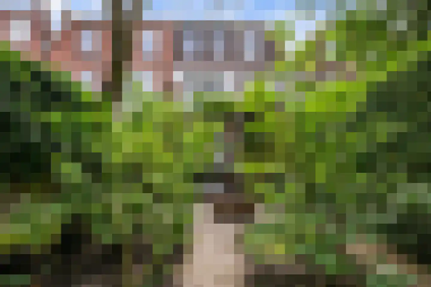 Voorschoterlaan 43 B Rotterdam thumbnail 39