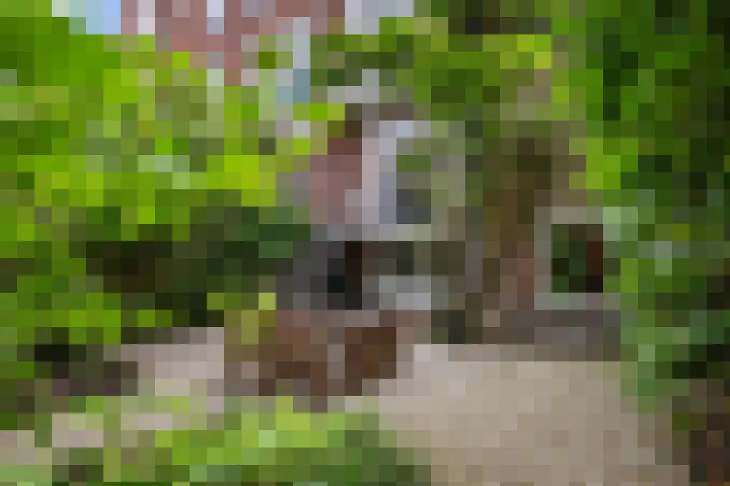 Voorschoterlaan 43 B Rotterdam thumbnail 40