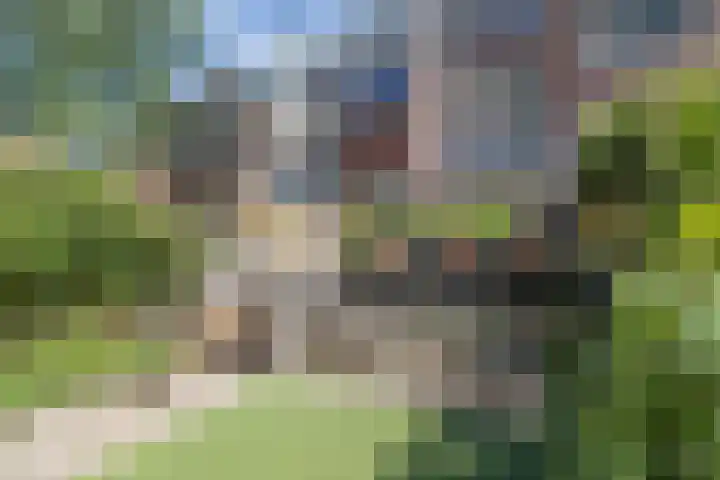 Voorschoterlaan 53 Rotterdam thumbnail 23