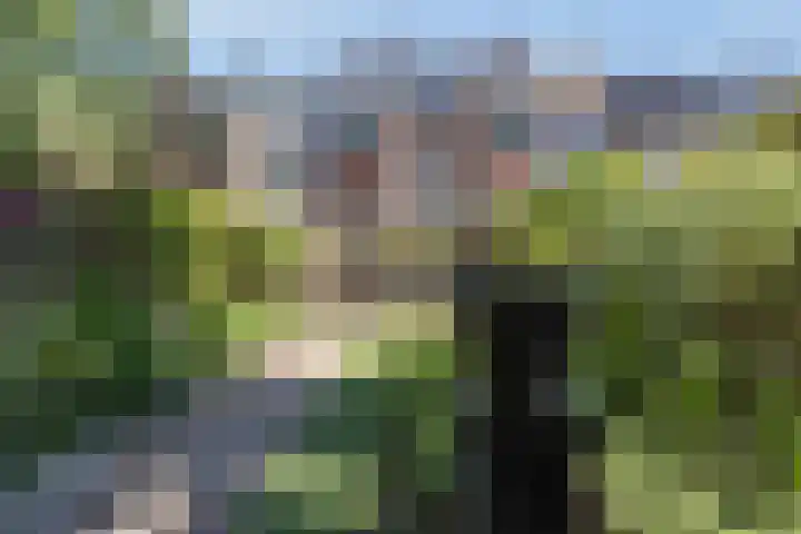 Voorschoterlaan 53 Rotterdam thumbnail 25