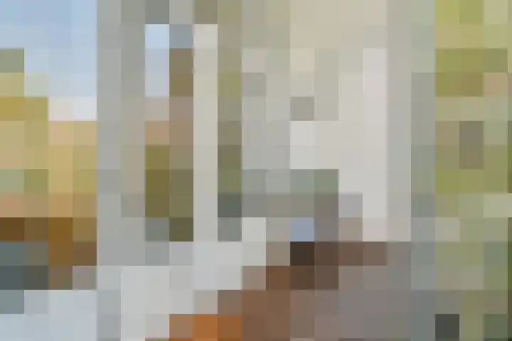 Voorschoterstraat 13 Rotterdam thumbnail 19
