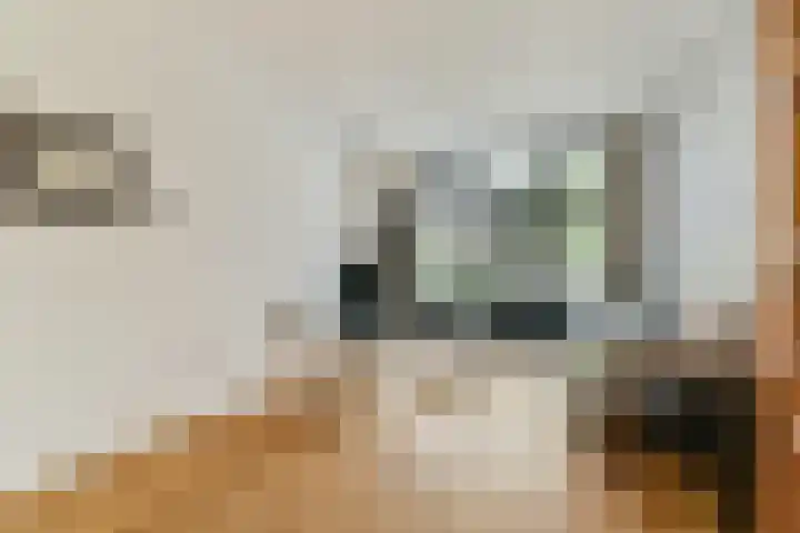 Voorschoterstraat 13 Rotterdam thumbnail 9
