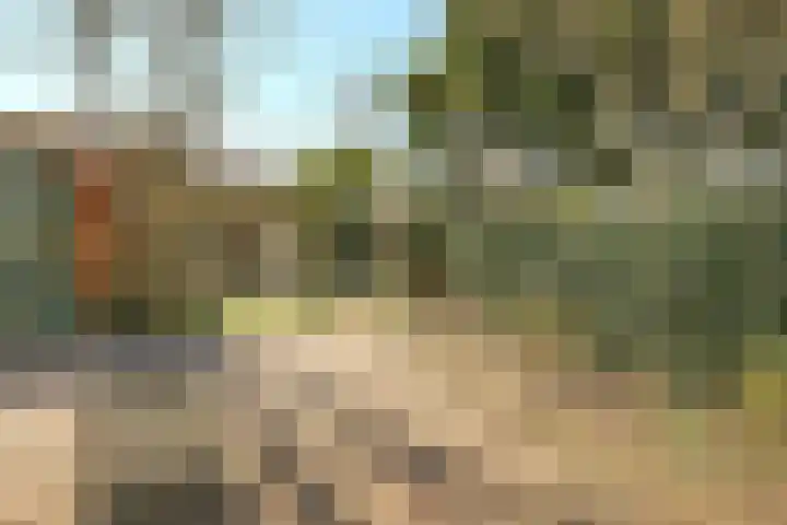 Voorschoterweg 19 C Valkenburg thumbnail 38
