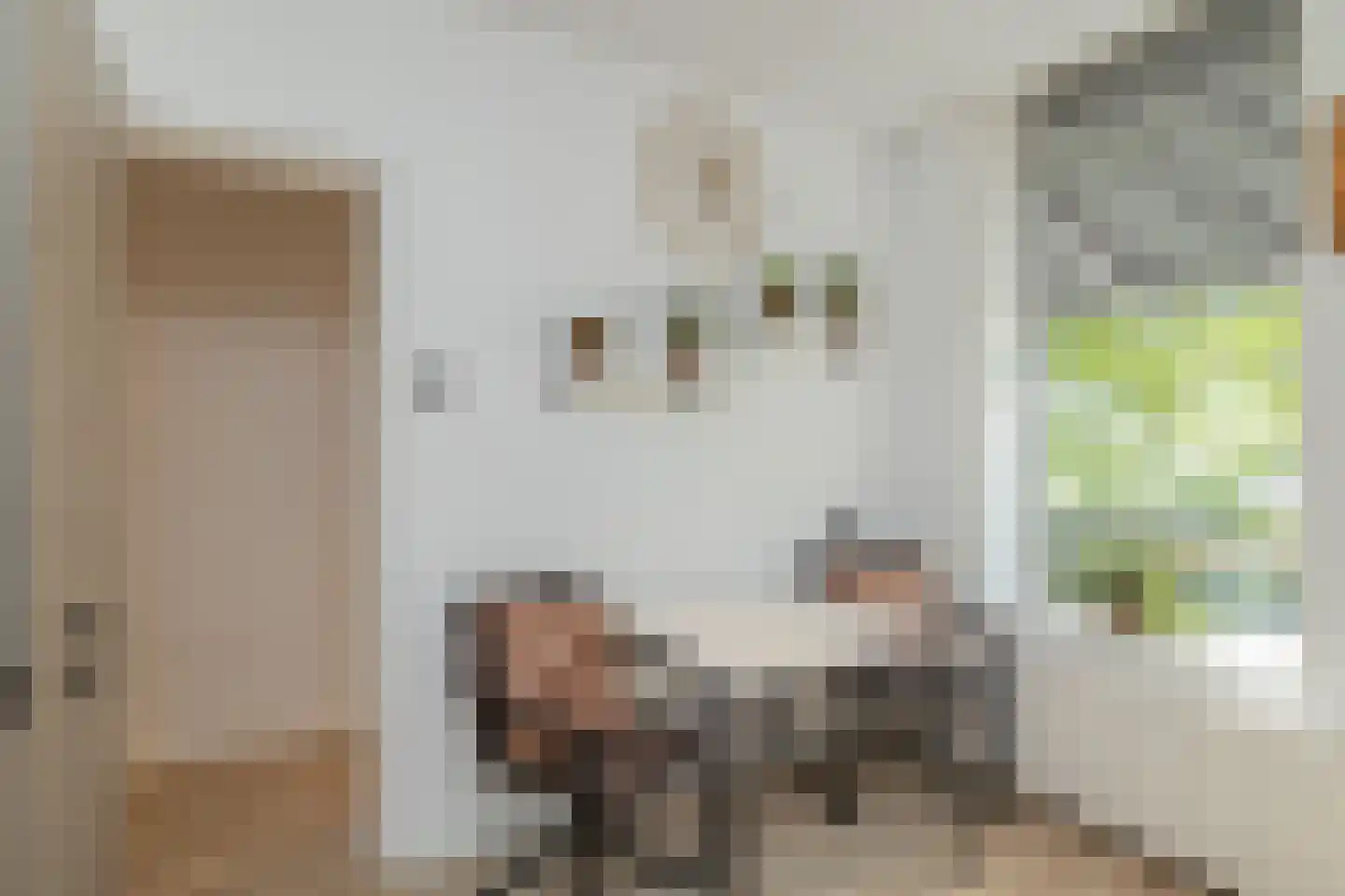 Voorschoterweg 27 Valkenburg thumbnail 10
