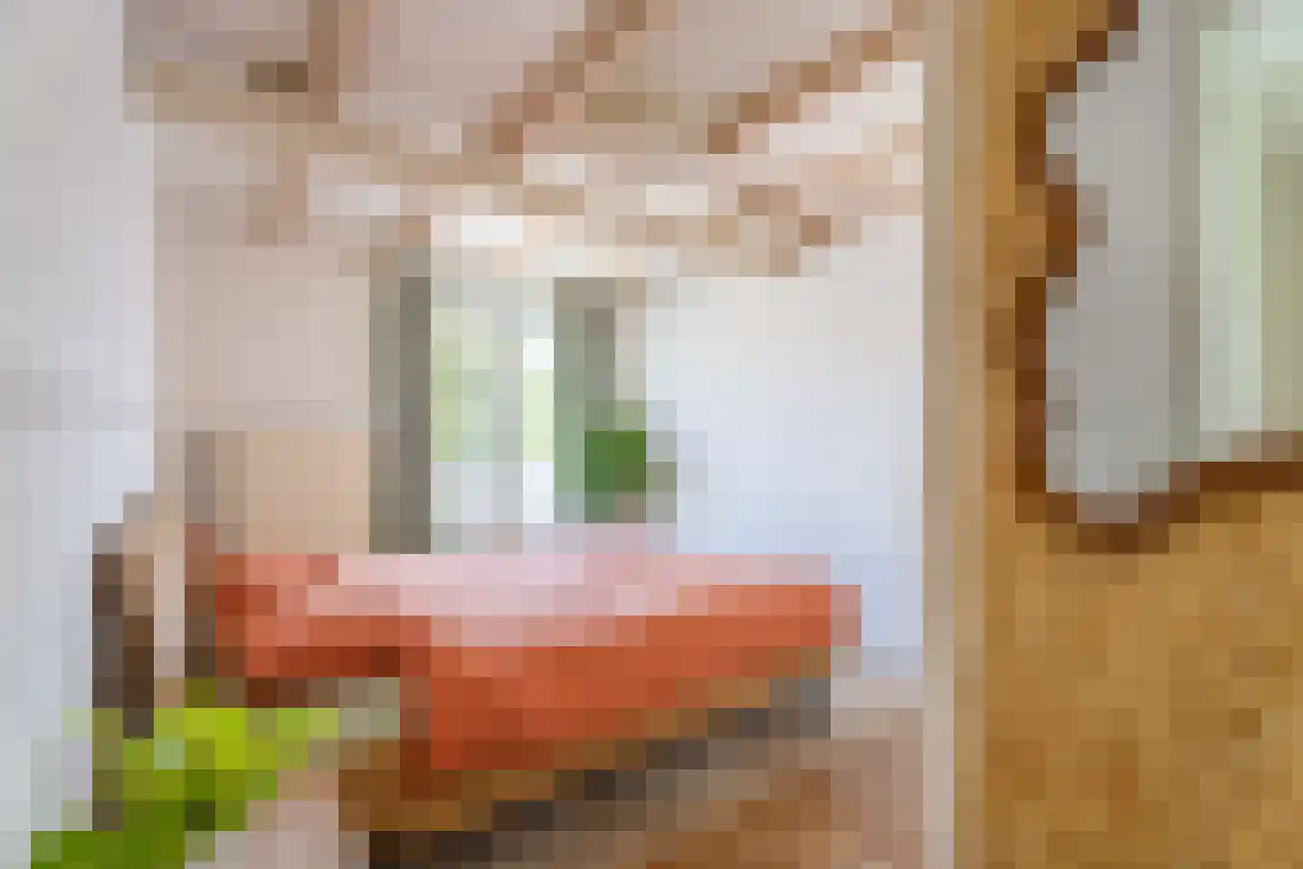 Voorschoterweg 59 Valkenburg thumbnail 17