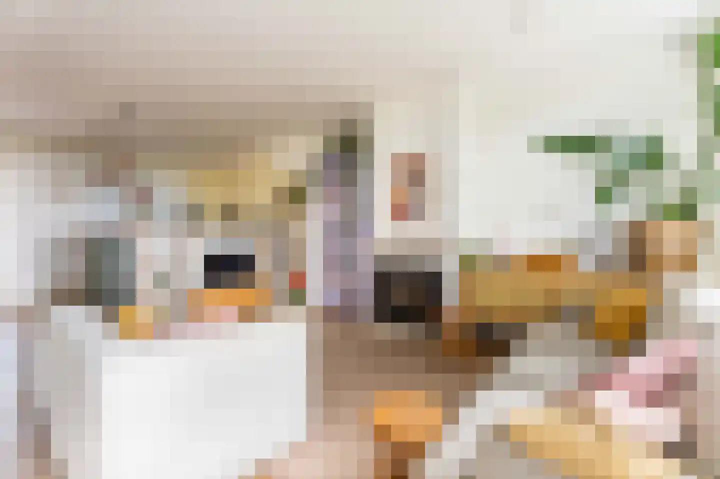 Voorschoterweg 59 Valkenburg thumbnail 4