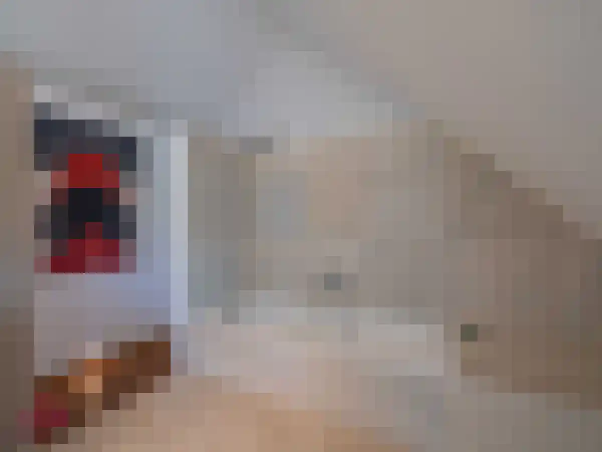 Voorshoventerweg 4 Neeroeteren, België thumbnail 18