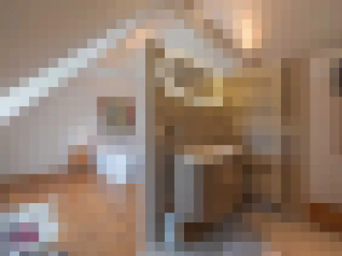 Voorshoventerweg 4 Neeroeteren, België thumbnail 19