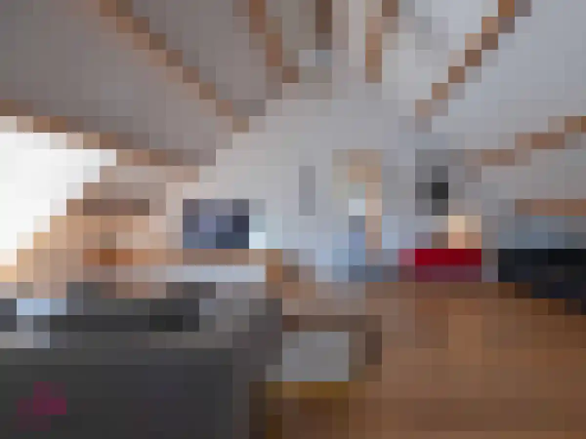 Voorshoventerweg 4 Neeroeteren, België thumbnail 9