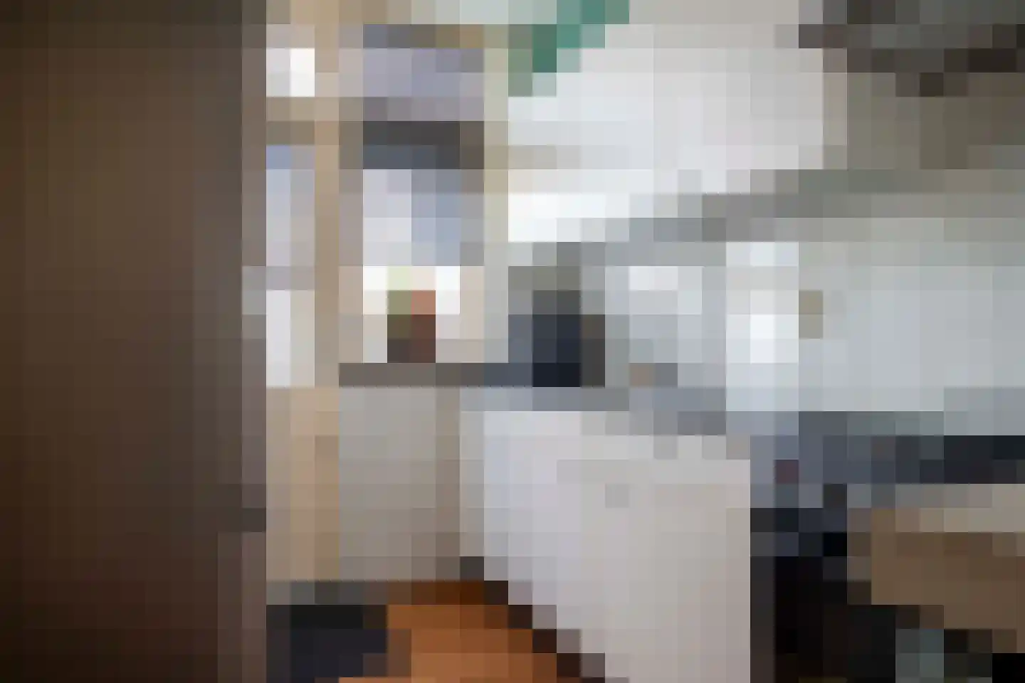 Voorslag 8 Vollenhove thumbnail 29