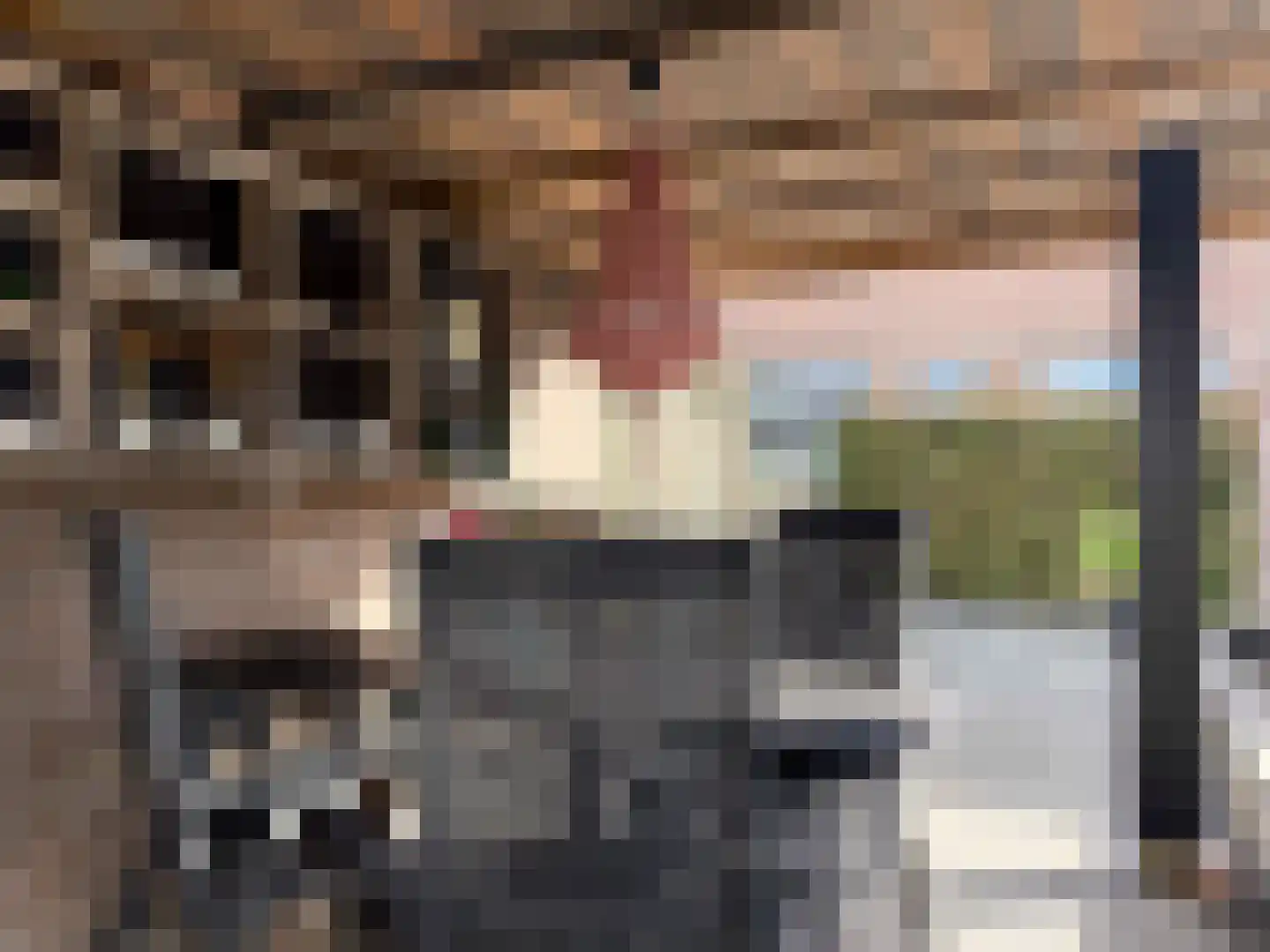 Voorslag 8 Vollenhove thumbnail 41