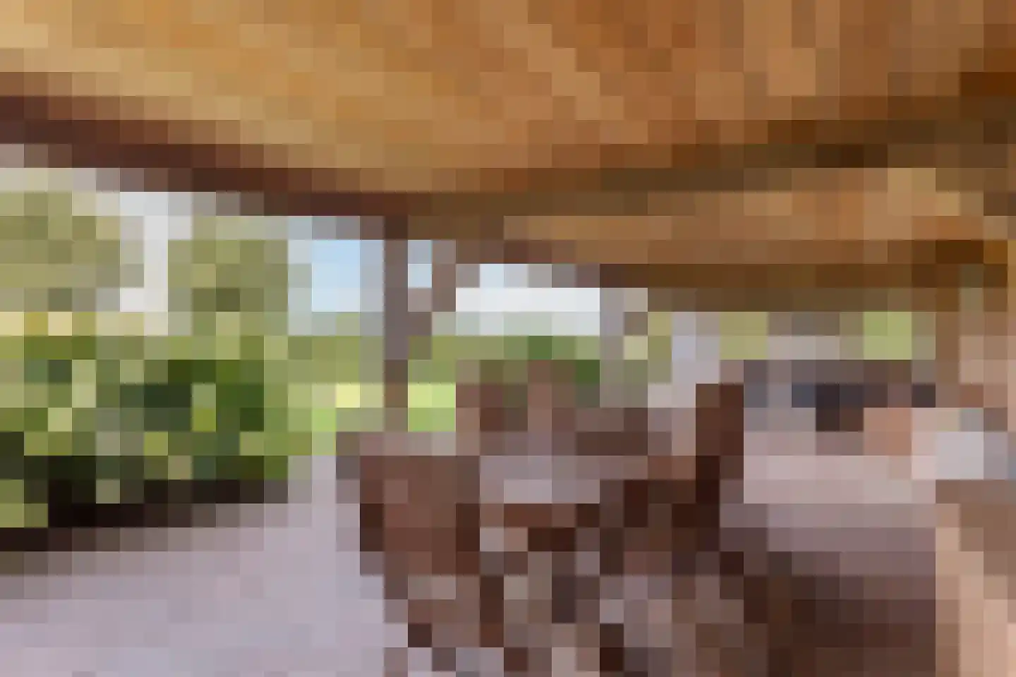 Voorslagenweg 5 Hellendoorn thumbnail 32