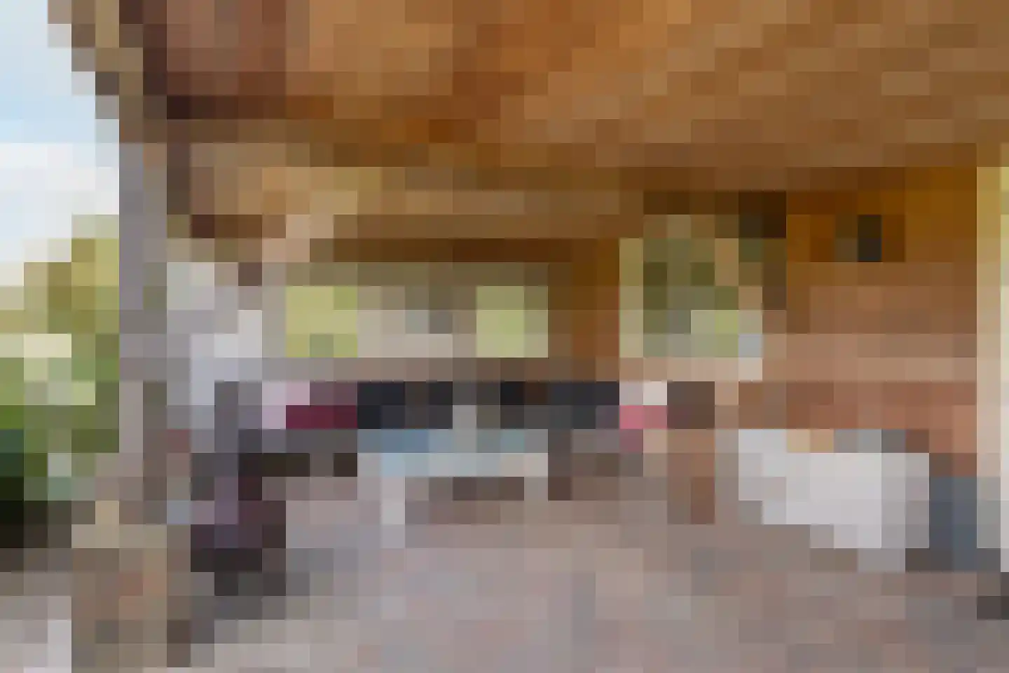 Voorslagenweg 5 Hellendoorn thumbnail 4