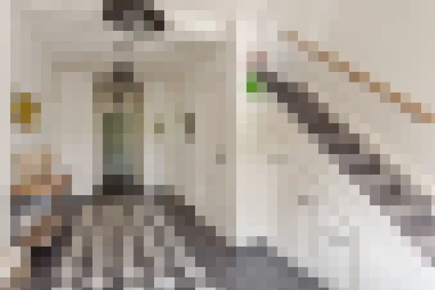 Voorslagenweg 5 Hellendoorn thumbnail 6