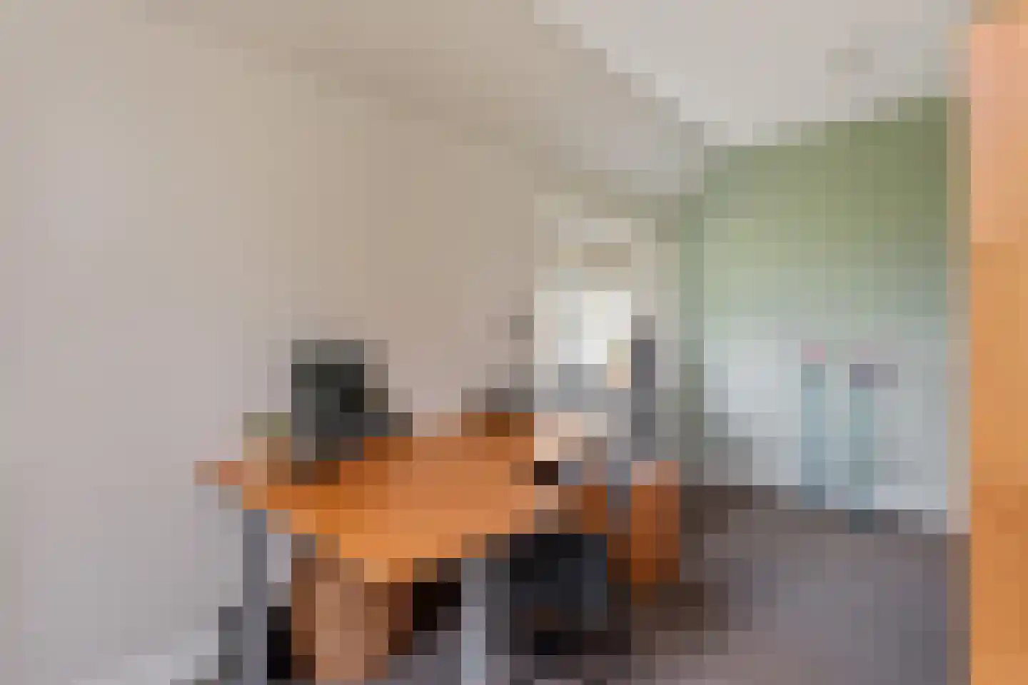 Voorslagenweg 5 Hellendoorn thumbnail 9
