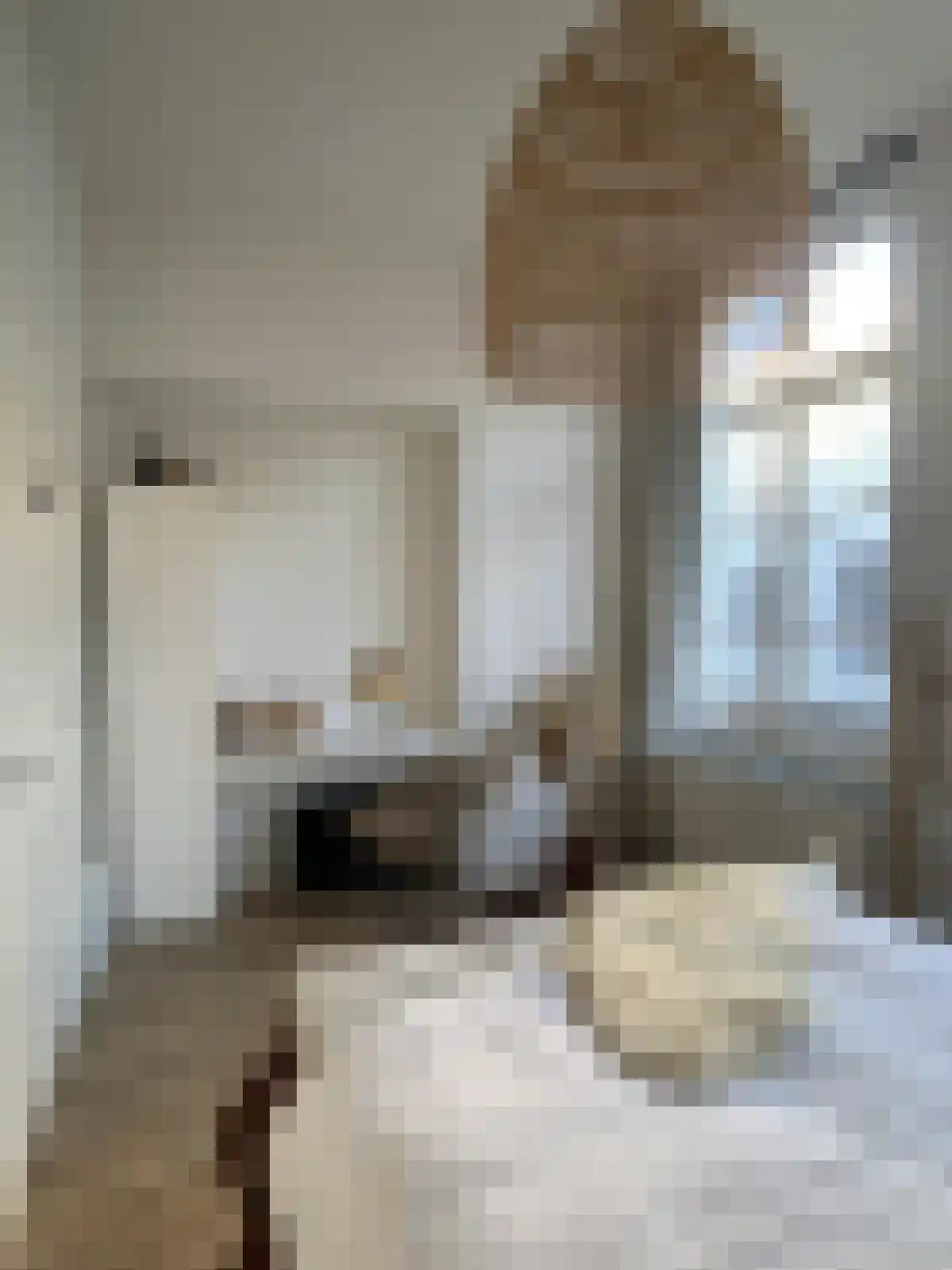 Voorstad 10 Sittard thumbnail 5