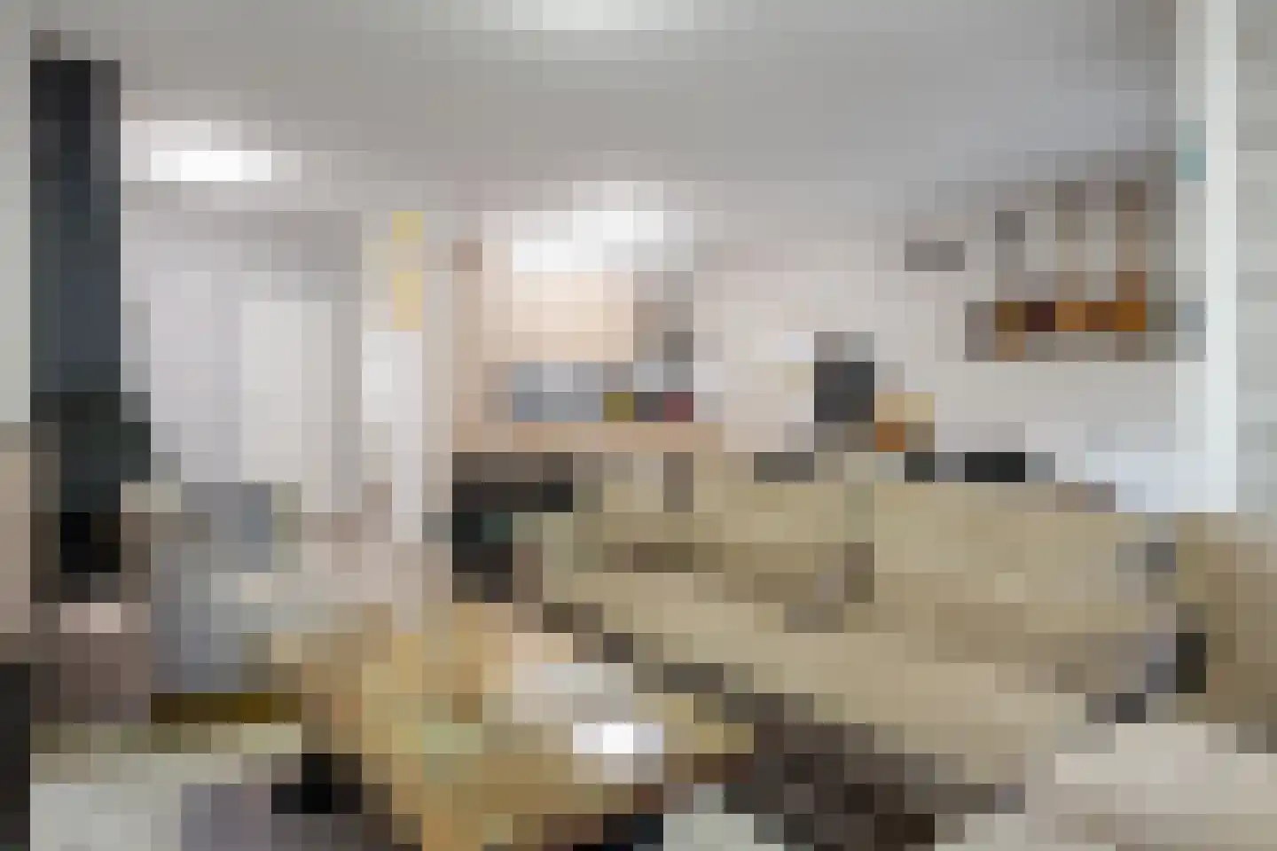 Voorstad 25 Tiel thumbnail 12