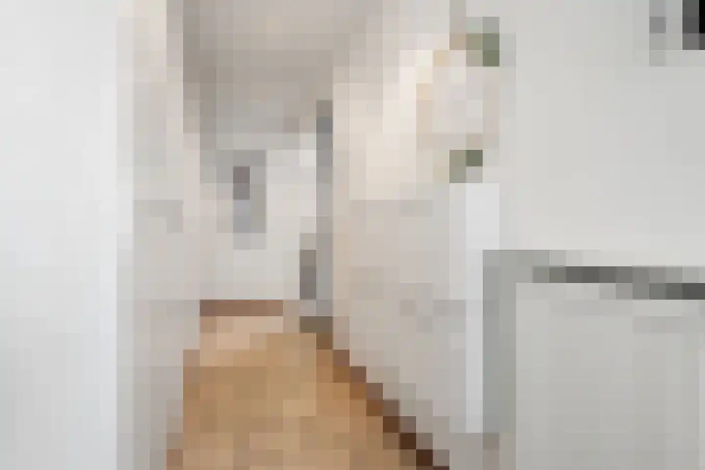 Voorstad 25 Tiel thumbnail 8