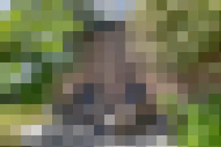 Voorstad 97 Goes thumbnail 25