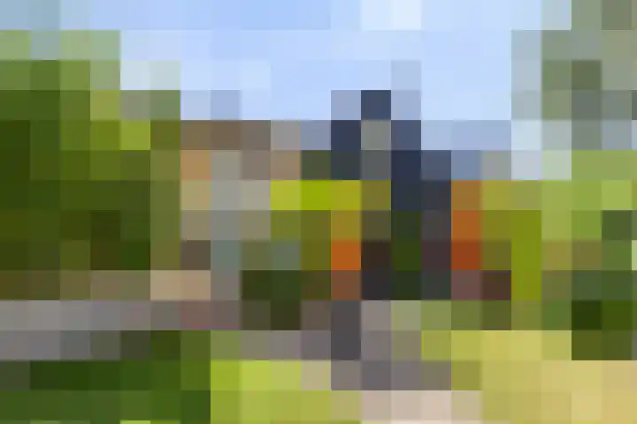 Voorstad 97 Goes thumbnail 26