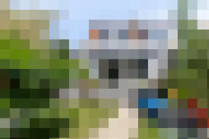 Voorstad 97 Goes thumbnail 27