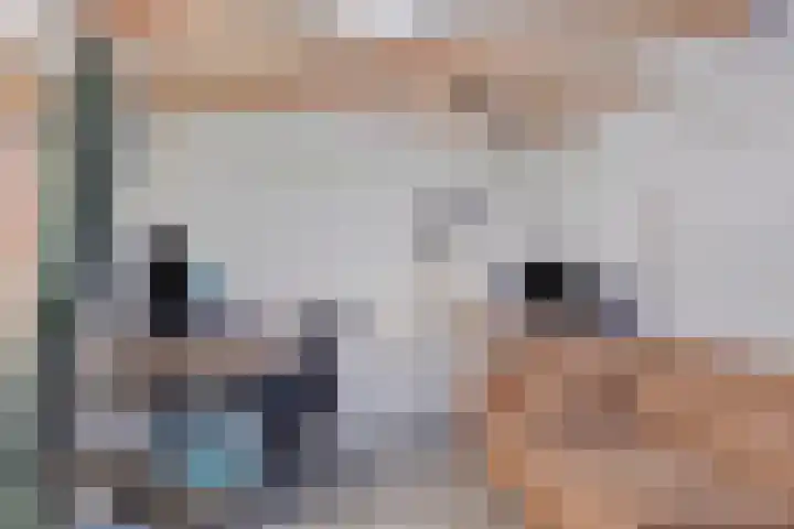 Voorstad 97 Goes thumbnail 30