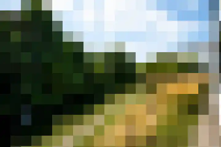 Voorstad Sint Jacob 85 Roermond thumbnail 21