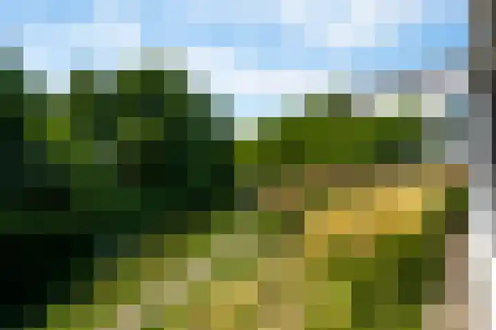 Voorstad Sint Jacob 85 Roermond thumbnail 22