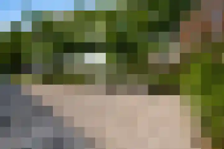 Voorstad Sint Jacob 85 Roermond thumbnail 33