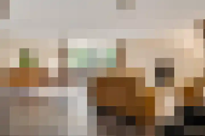 Voorstad Sint Jacob 85 Roermond thumbnail 9