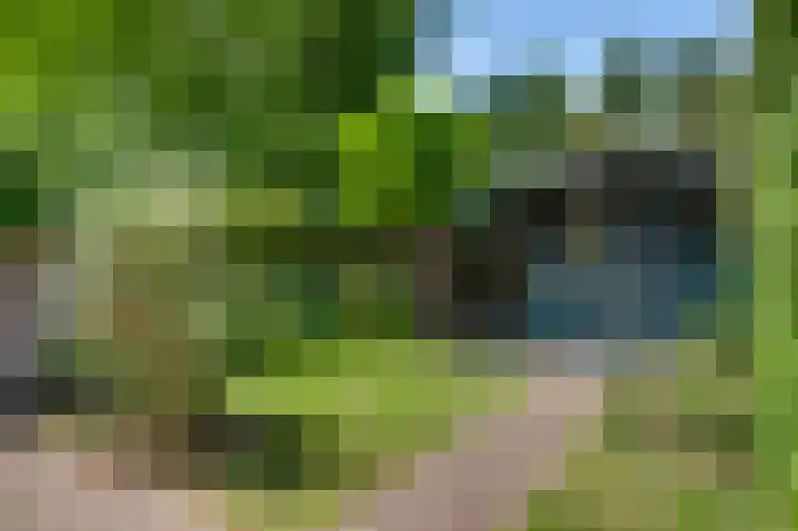 Voorstad Sint Jacob 90 Roermond thumbnail 16